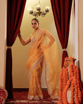 Organza Embroidary Saree
